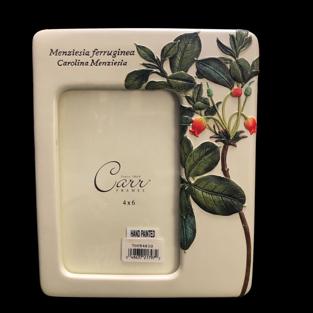 Vintage NOS Carr Picture Frame, Handpainted, Ceramic Floral, Butterfly’s, 4x6”